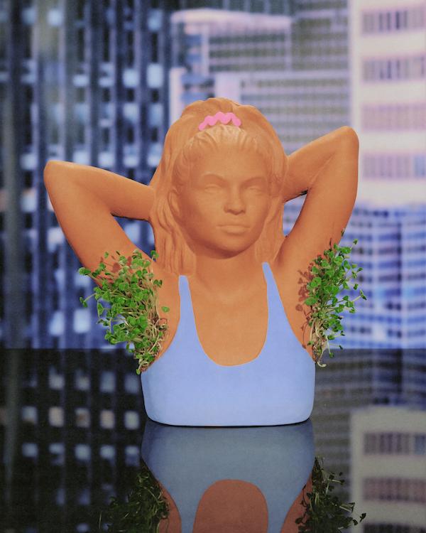 Billie_chia_pet